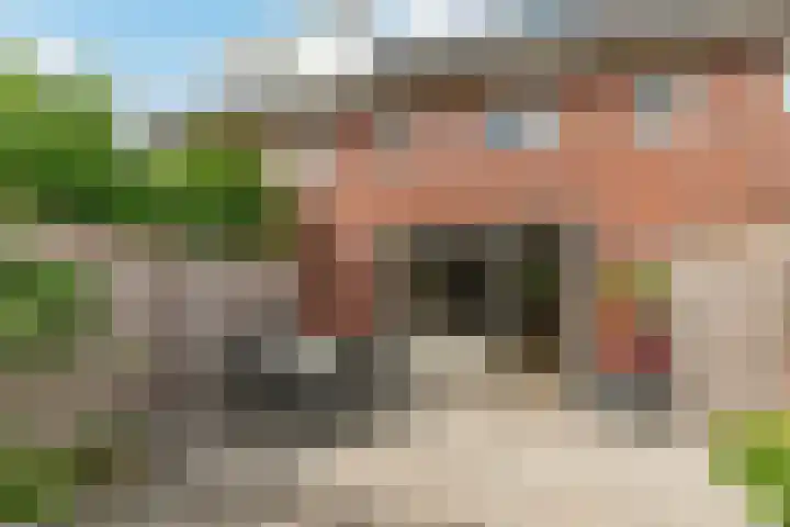 Kaarboom 7 Nunspeet thumbnail 7