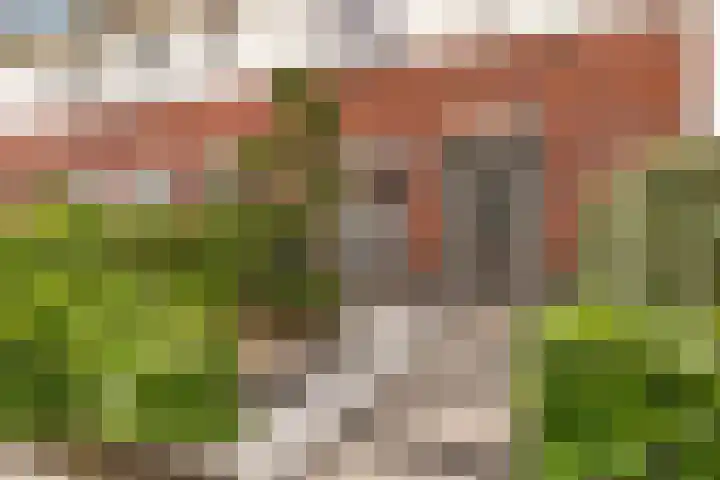 Kaarboom 7 Nunspeet thumbnail 9