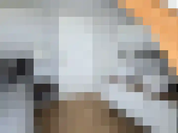 Kaard 3 1 Kaard thumbnail 22