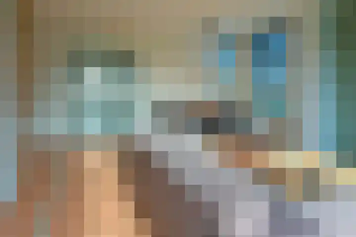 Kaard 3 1 Kaard thumbnail 43