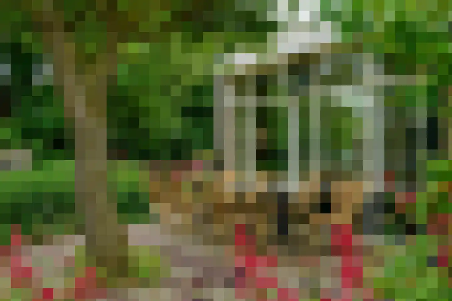 Kaard 4 Kaard thumbnail 37