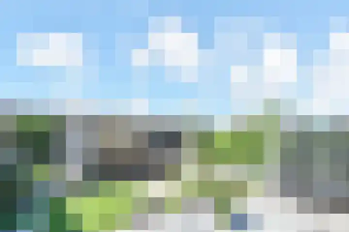 Kaardebol 2 Nootdorp thumbnail 4