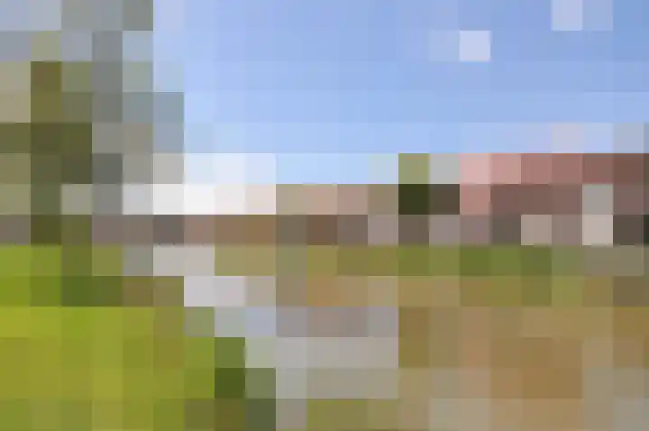 Kaardebol 2 Nootdorp thumbnail 41