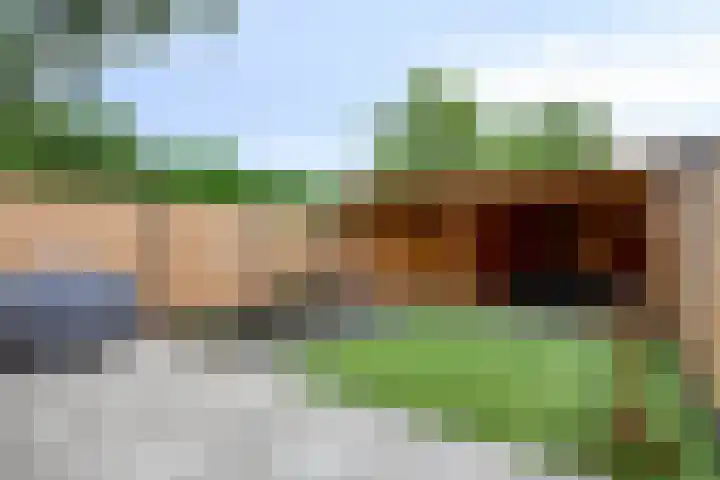 Kaardebol 2 Sprang-Capelle thumbnail 24