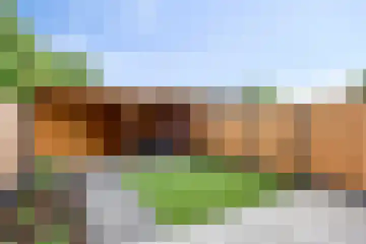 Kaardebol 2 Sprang-Capelle thumbnail 25
