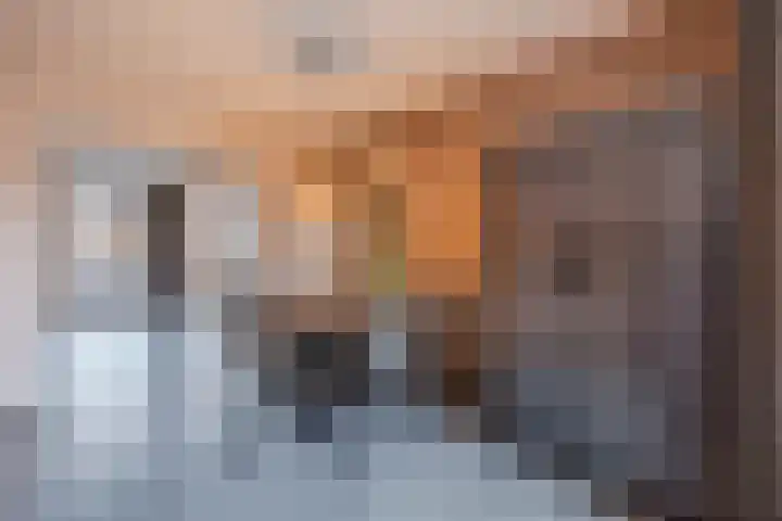 Kaardebol 26 Sprang-Capelle thumbnail 18