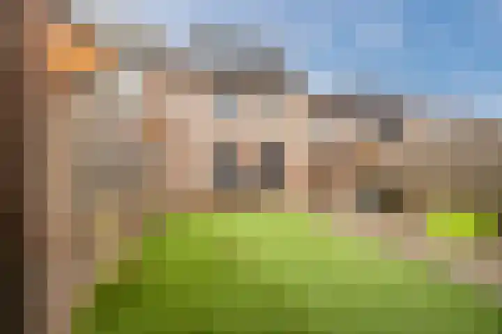 Kaardebol 26 Sprang-Capelle thumbnail 25