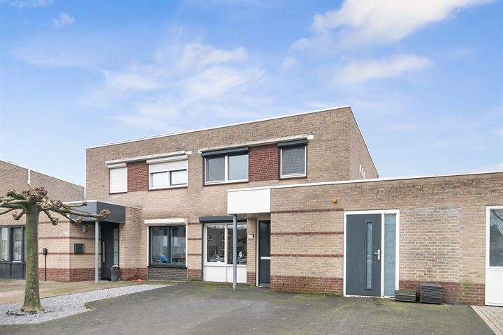 Kaardebol 37 in Venray foto