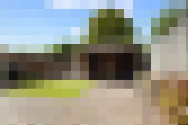 Kaardebol 70 Sprang-Capelle thumbnail 19