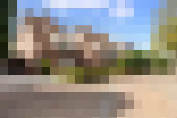 Kaardebol 70 Sprang-Capelle thumbnail 7