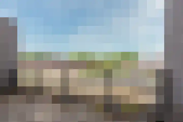 Kaardebol 9 De Meern thumbnail 31