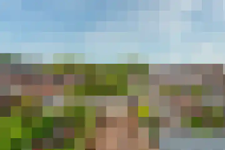 Kaardebol 9 De Meern thumbnail 32