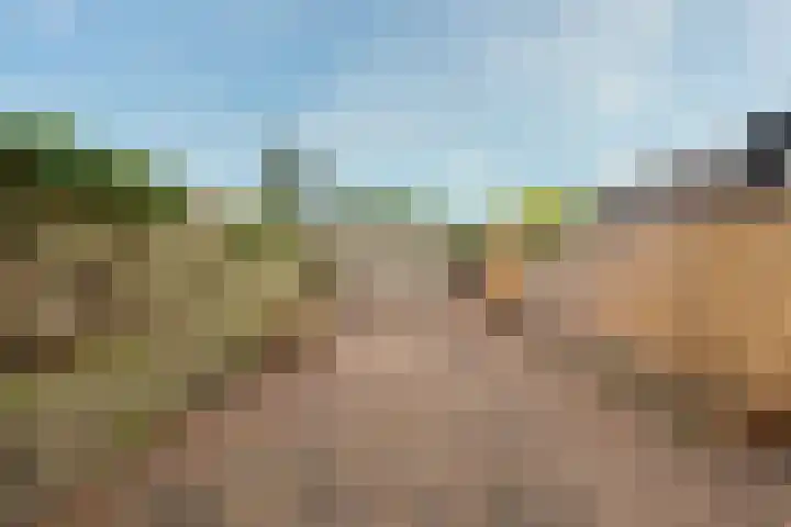 Kaardebol 9 De Meern thumbnail 33