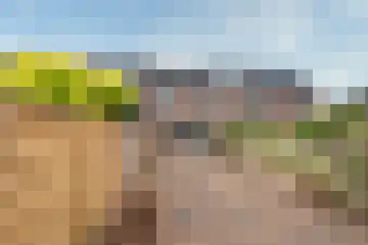 Kaardebol 9 De Meern thumbnail 34