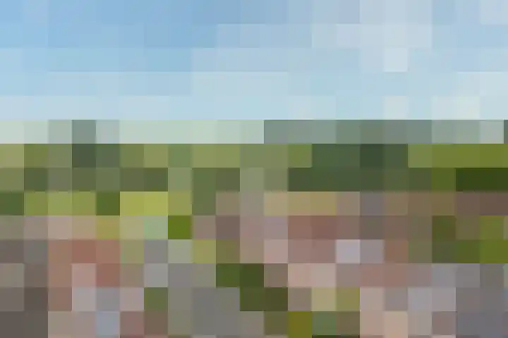 Kaardebol 9 De Meern thumbnail 36