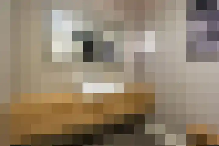 Kaarderstraat 8 Weert thumbnail 37