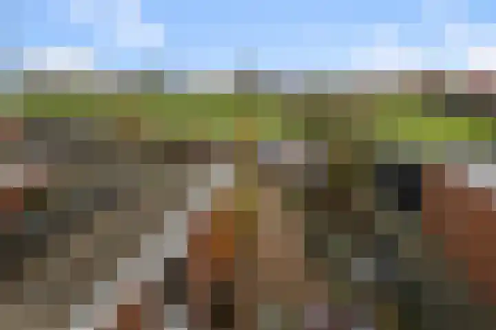 Kaasmaker 135 Assendelft thumbnail 14