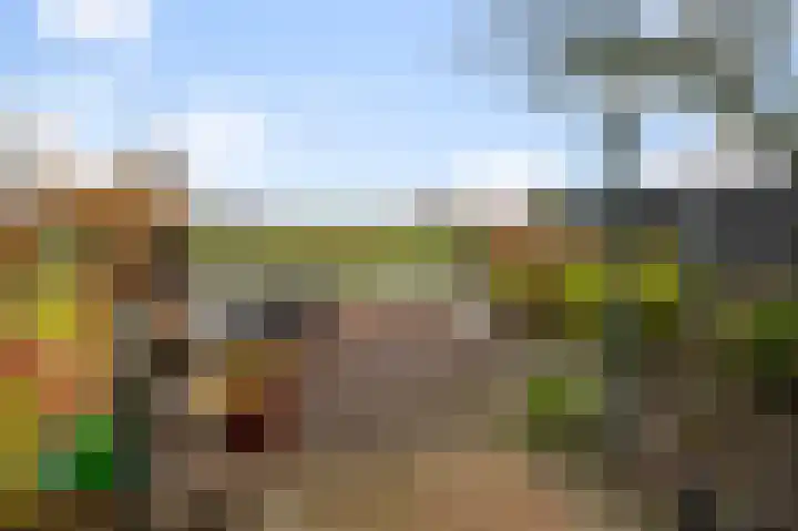Kaasmaker 135 Assendelft thumbnail 21