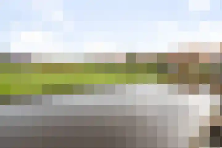 Kaasmaker 135 Assendelft thumbnail 23