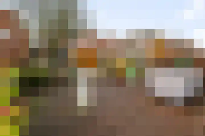 Kaasmaker 135 Assendelft thumbnail 24