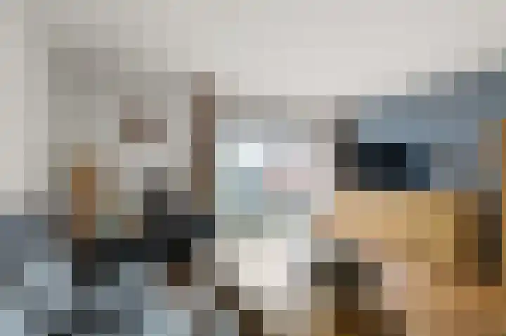 Kaasmaker 135 Assendelft thumbnail 5