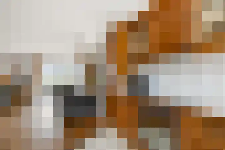 Kaasmaker 135 Assendelft thumbnail 7