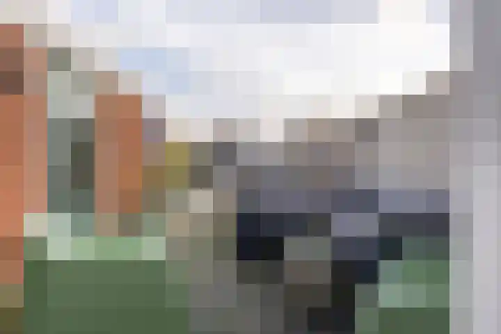 Kaasmaker 16 Assendelft thumbnail 13