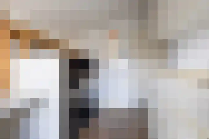 Kaasmaker 16 Assendelft thumbnail 27