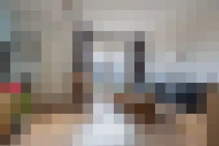 Kaasmaker 16 Assendelft thumbnail 4