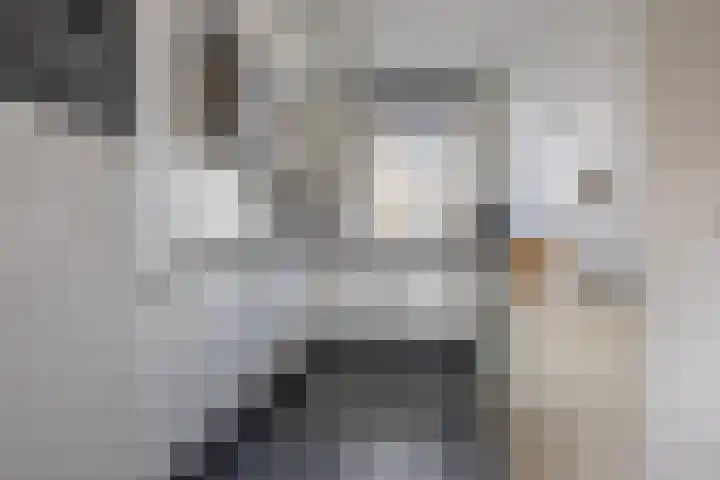 Kaasmaker 16 Assendelft thumbnail 8