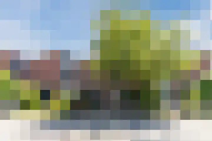 Kaasmaker 20 dans Assendelft