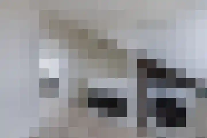 Kaasmaker 47 Assendelft thumbnail 28