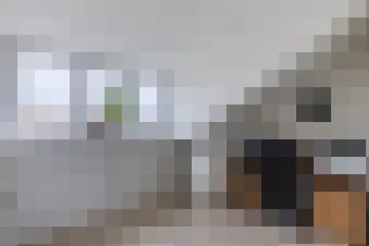 Kaasmaker 47 Assendelft thumbnail 29