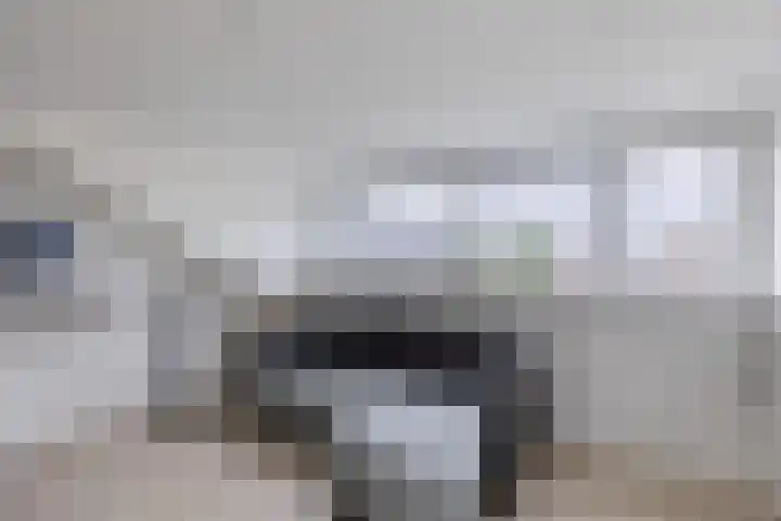 Kaasmaker 47 Assendelft thumbnail 31