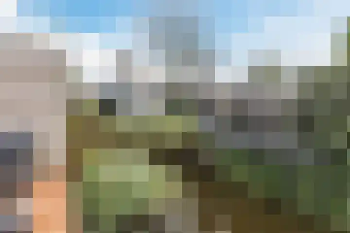 Kaasmaker 47 Assendelft thumbnail 36