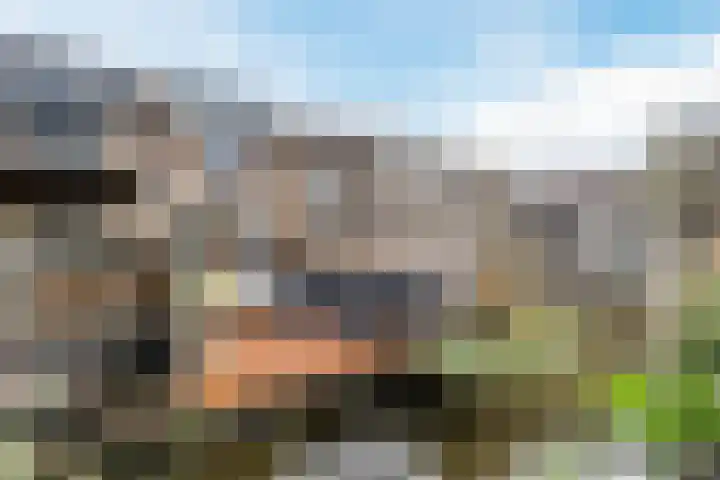 Kaasmaker 47 Assendelft thumbnail 4
