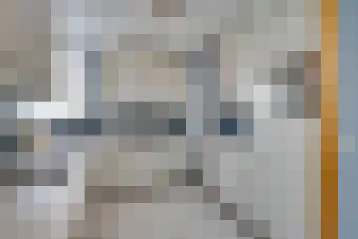 Kaasmaker 89 Assendelft thumbnail 19