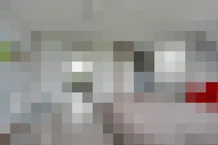 Kaasmaker 89 Assendelft thumbnail 26