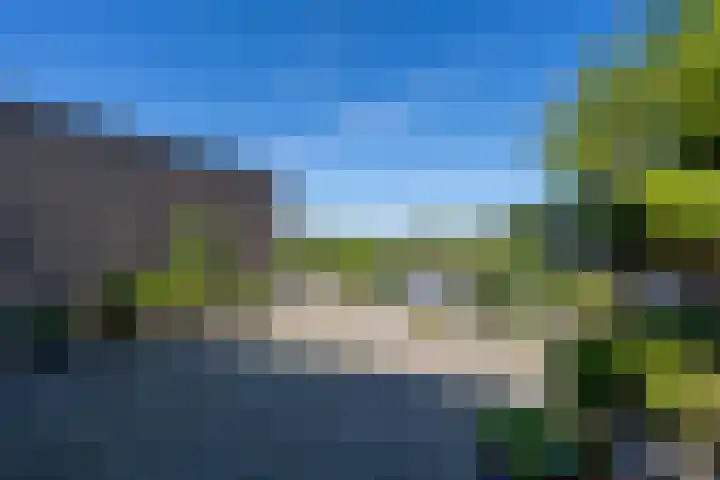Kaasmaker 89 Assendelft thumbnail 42