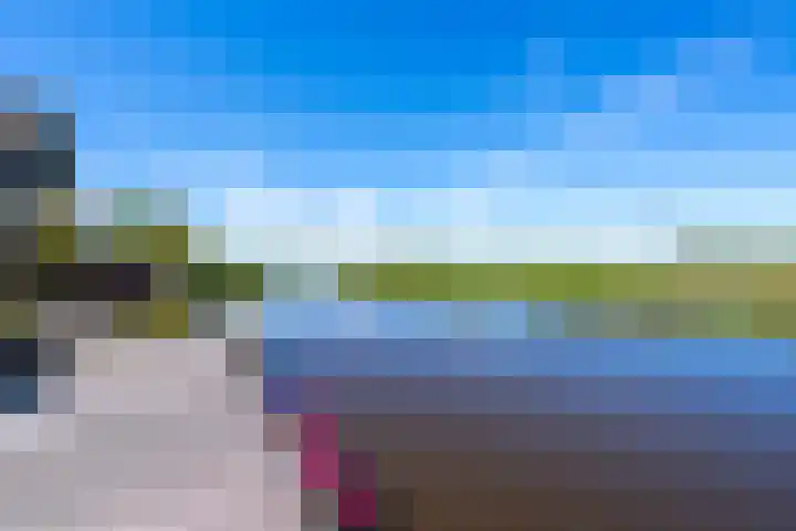 Kaasmaker 89 Assendelft thumbnail 47