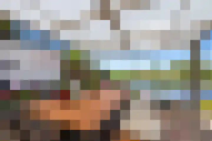 Kaasmaker 89 Assendelft thumbnail 51