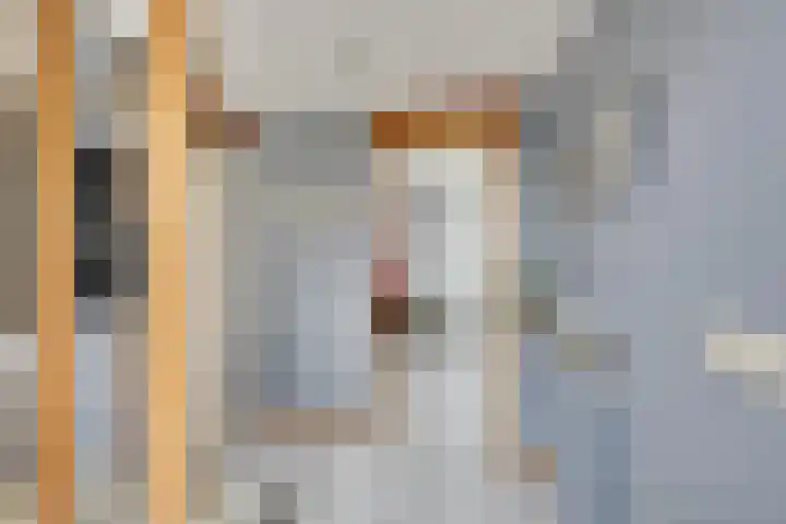 Kaasmaker 89 Assendelft thumbnail 8