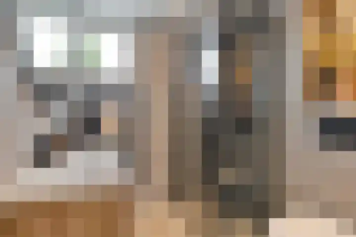 Kaasmakerlaan 10 IJsselstein thumbnail 15