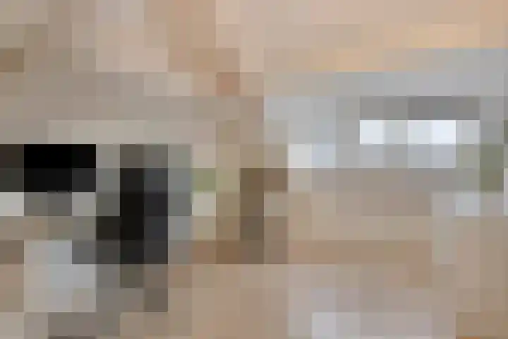 Kaasmakerlaan 10 IJsselstein thumbnail 21