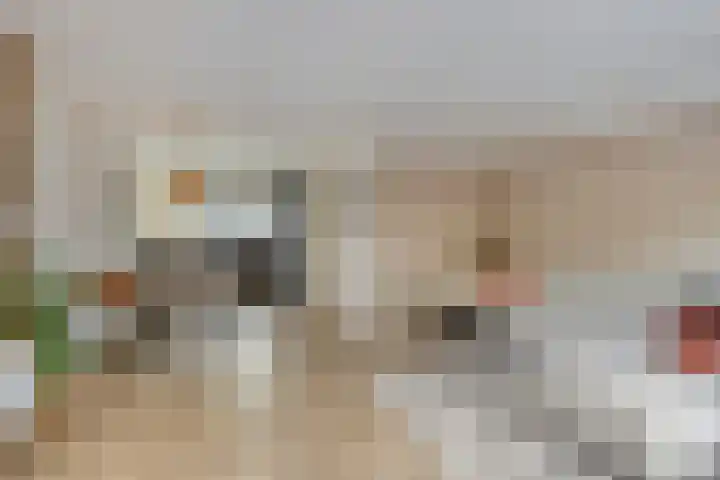 Kaasmakerlaan 10 IJsselstein thumbnail 8