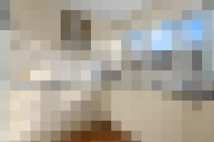 Kaasmakerlaan 15 IJsselstein thumbnail 18