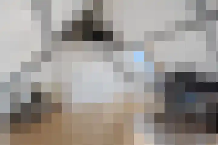 Kaasmakerlaan 15 IJsselstein thumbnail 41