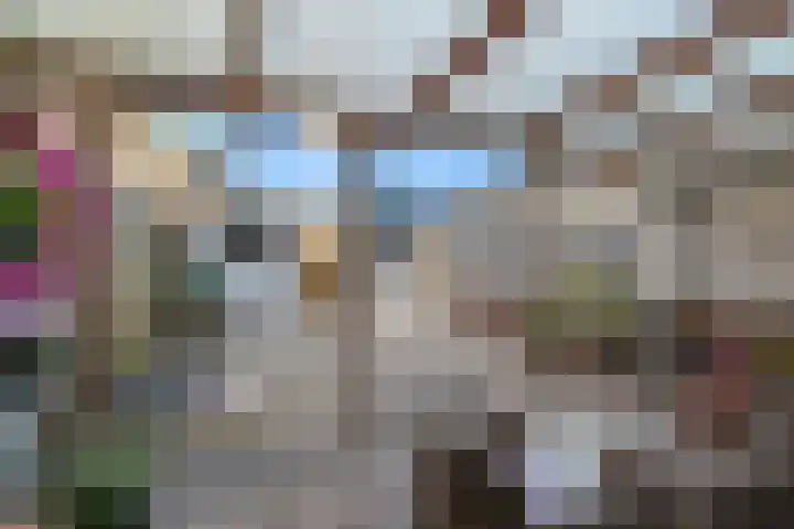 Kaasmakerlaan 15 IJsselstein thumbnail 43