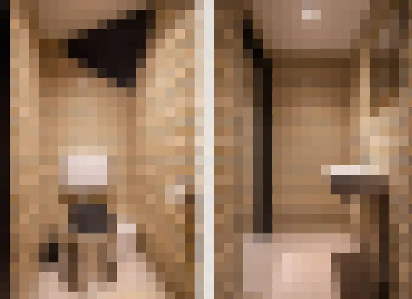 Kaatsplein 3 Witmarsum thumbnail 39