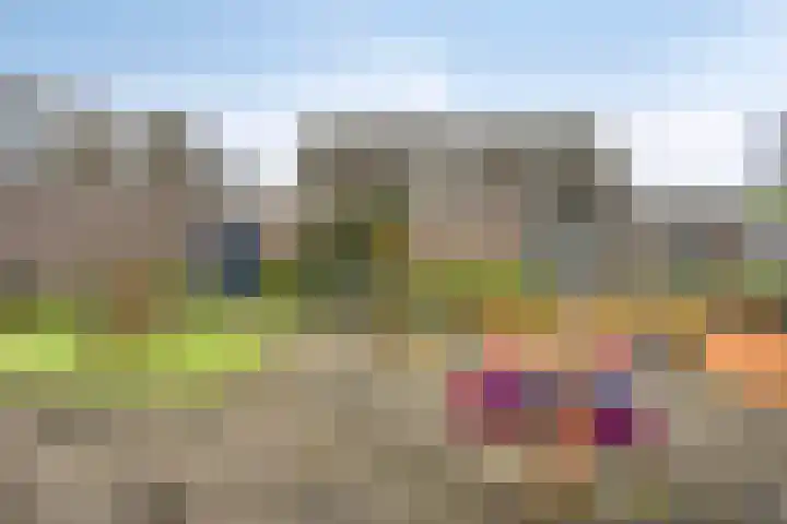 Kabouterberg 11 Veldhoven thumbnail 32